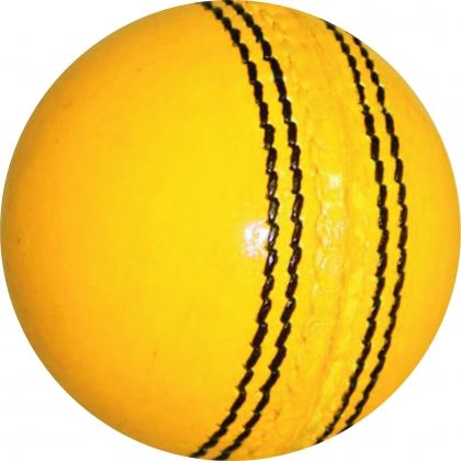 Cricket Hard Ball